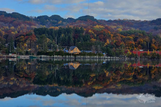 Photo by Debbie Jarve