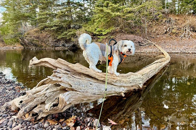 Photo by Jeff Dennis