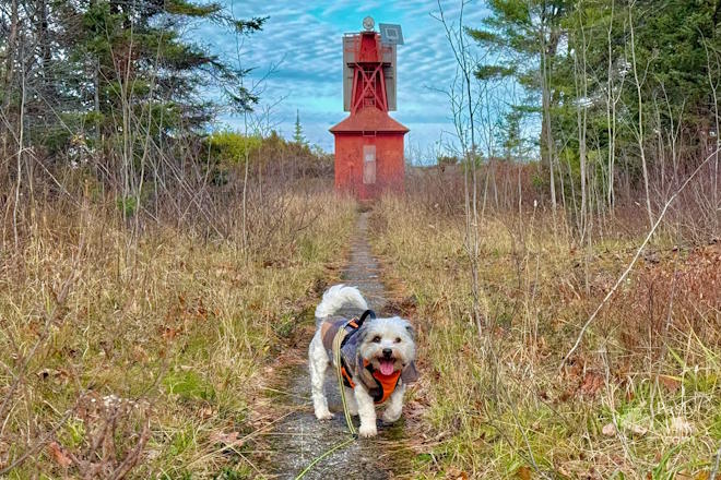 Photo by Jeff Dennis