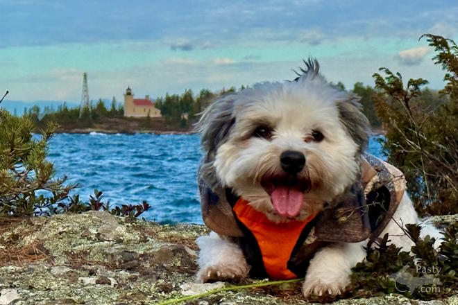 Photo by Jeff Dennis