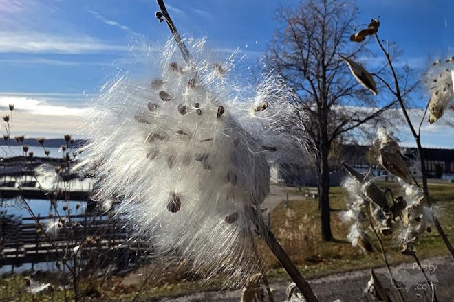 Photo by Laurie Bashaw