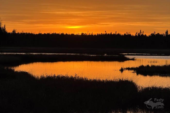 Photo by Barbara Bouwkamp