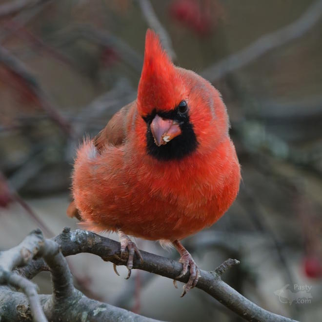 Photo by Kevin Dunham