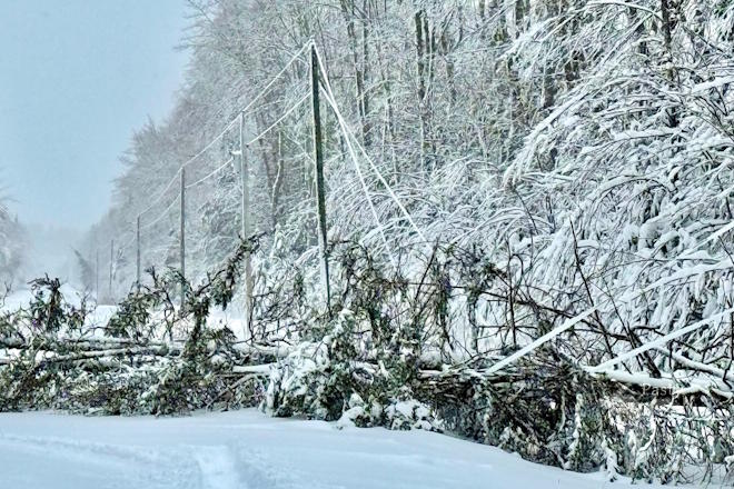 Photo by Jeff Dennis