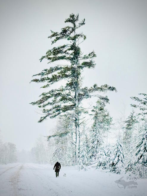 Photo by Jeff Dennis