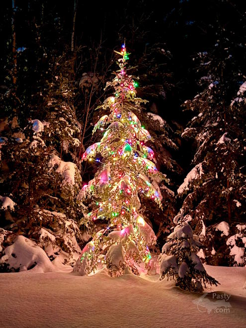 Photo by Jeff Dennis