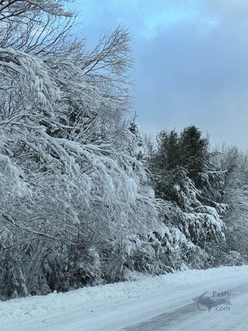 Photo by Barbara Bouwkamp