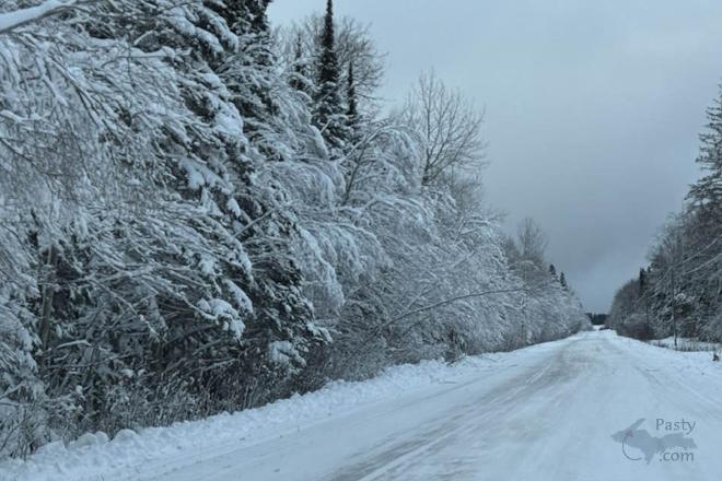 Photo by Barbara Bouwkamp