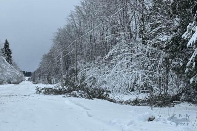 Photo by Barbara Bouwkamp