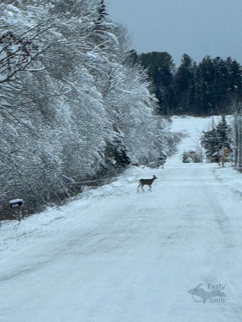 Photo by Barbara Bouwkamp