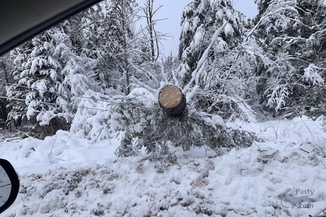 Photo by Beth Jukuri