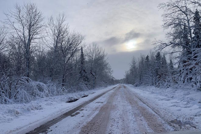 Photo by Beth Jukuri