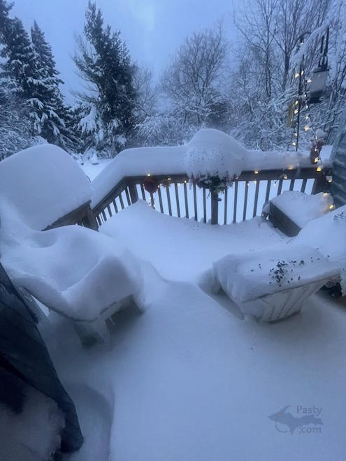 Photo by Diane Richard