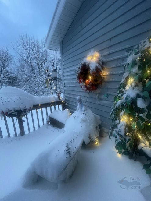 Photo by Diane Richard