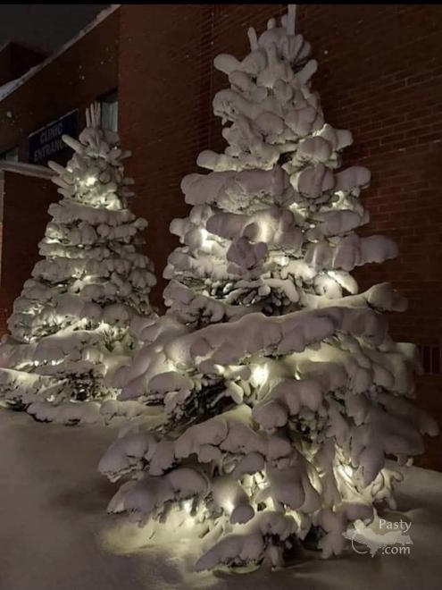 Photo by Debbie Jarve