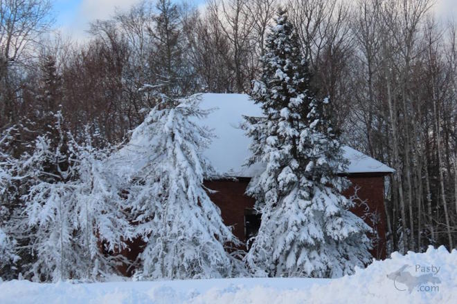 Photo by Debbie Jarve