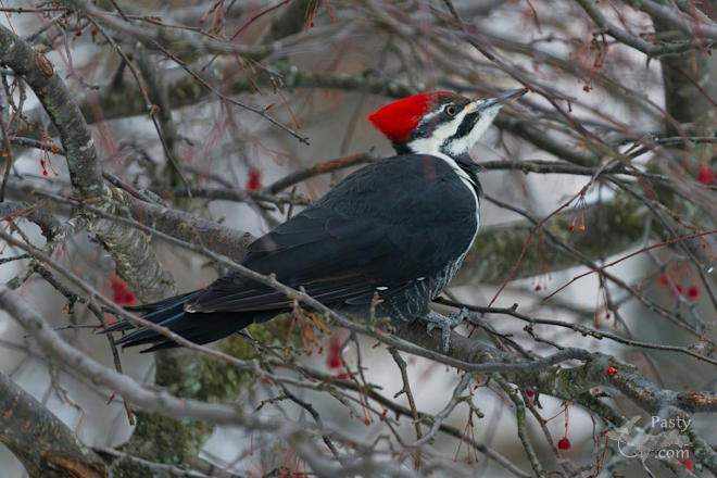 Photo by Kevin Dunham