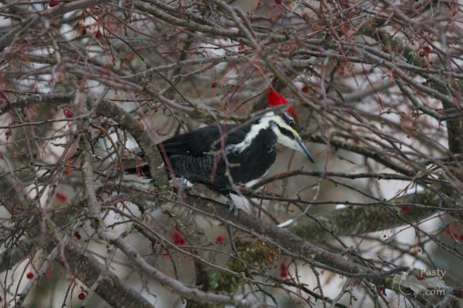 Photo by Kevin Dunham