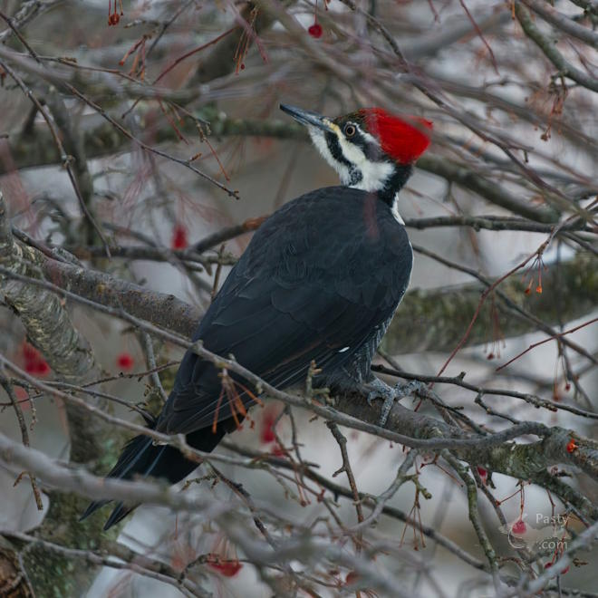 Photo by Kevin Dunham