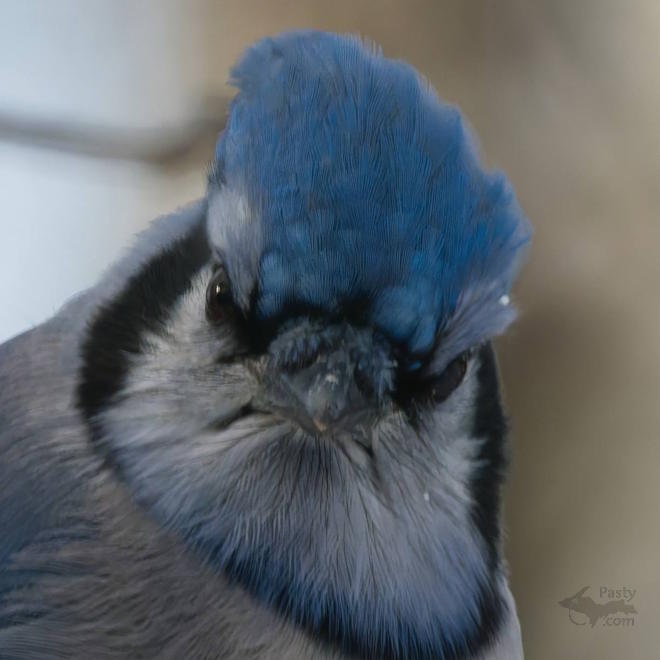 Photo by Kevin Dunham