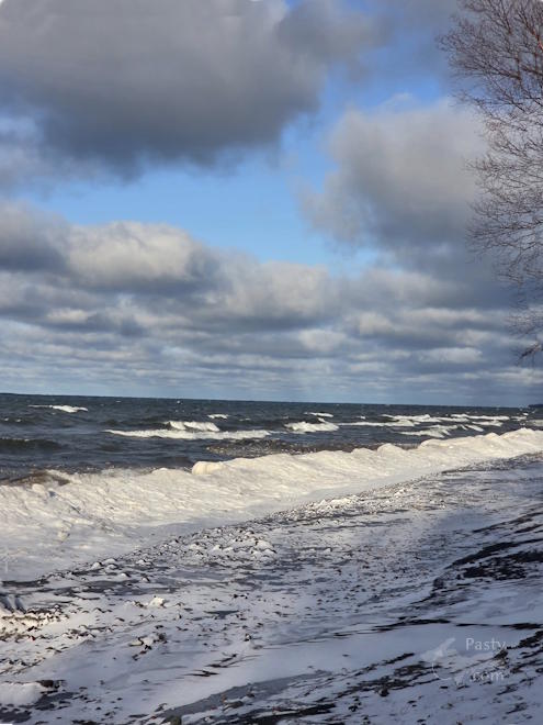 Photo by Debbie Jarve