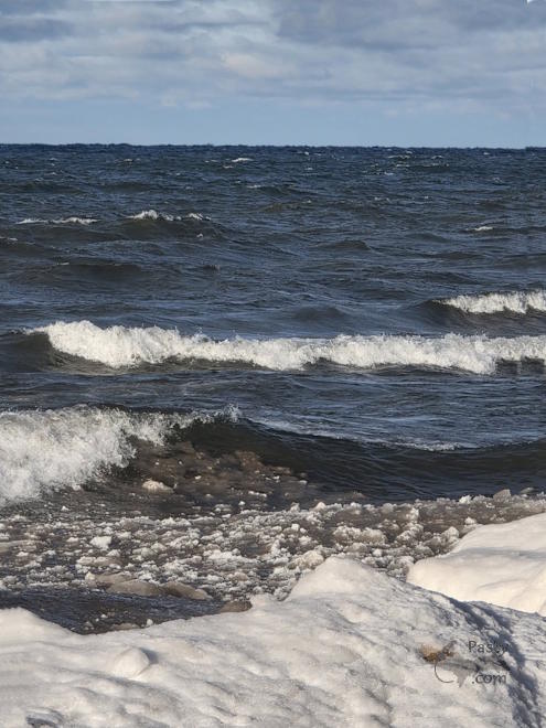 Photo by Debbie Jarve