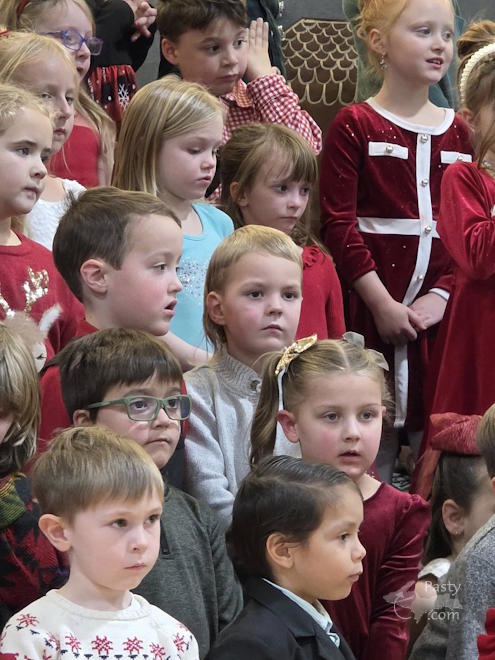 Photo by Debbie Jarve