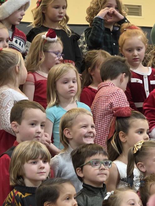 Photo by Debbie Jarve