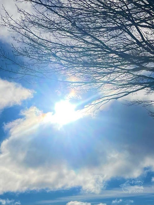 Photo by Diane Richard