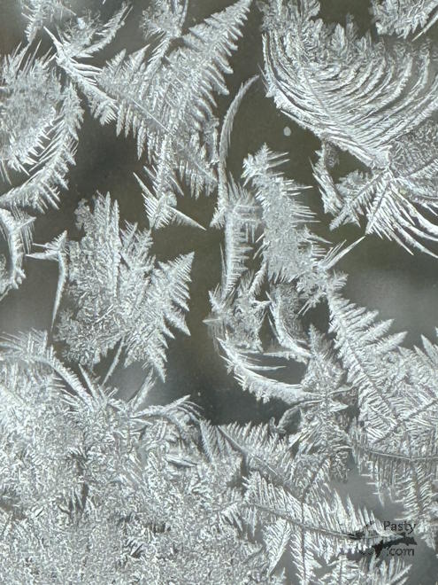 Photo by Barbara Bouwkamp