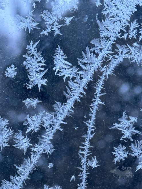 Photo by Barbara Bouwkamp