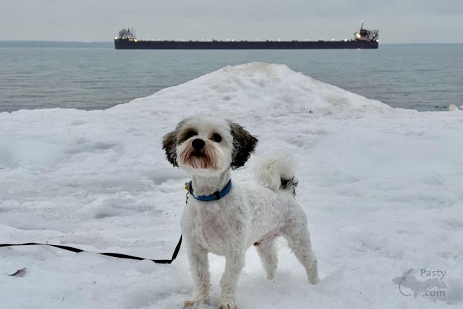 Photo by Jeff Dennis