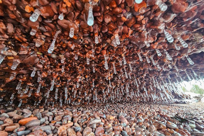 Photo by Michelle Lutke