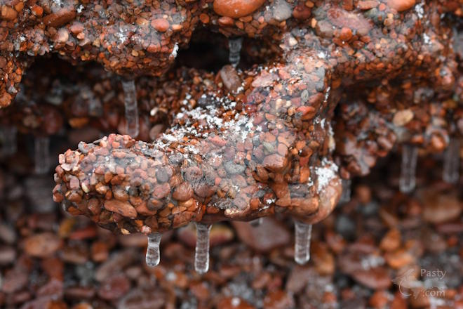 Photo by Michelle Lutke