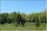 June 1 - 7