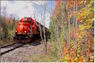 Sep 28 - Oct 4
