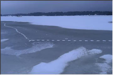 Tracks on the ice