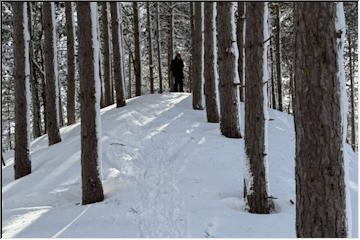 Snowshoe adventure