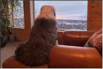 Watching the sun set