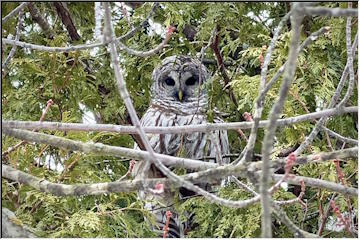 All around Marquette