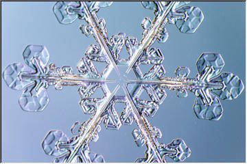 Magnified snowflakes