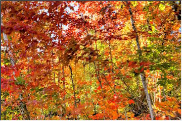 First of Fall in the Keweenaw