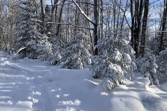 Photo by Beth Jukuri