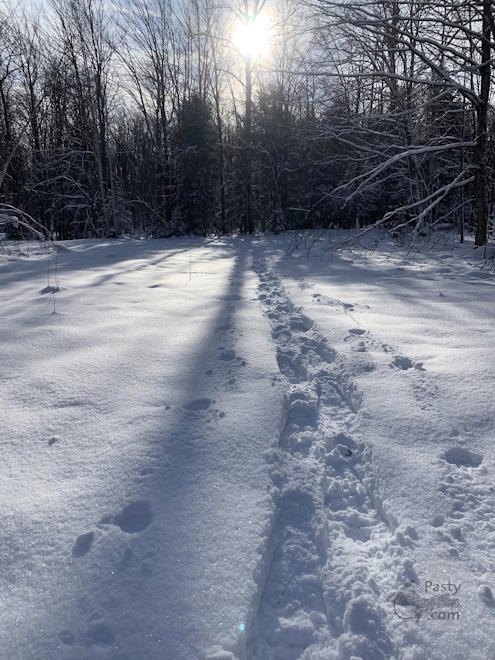 Photo by Beth Jukuri