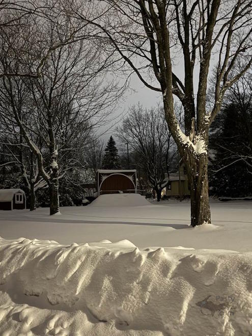 Photo by Barbara Bouwkamp