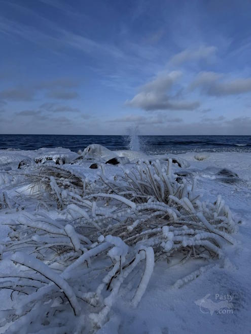 Photo by Judy Byykkonen