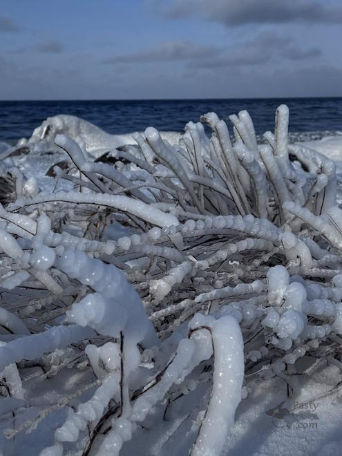 Photo by Judy Byykkonen