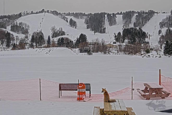 Photo from Don Afman