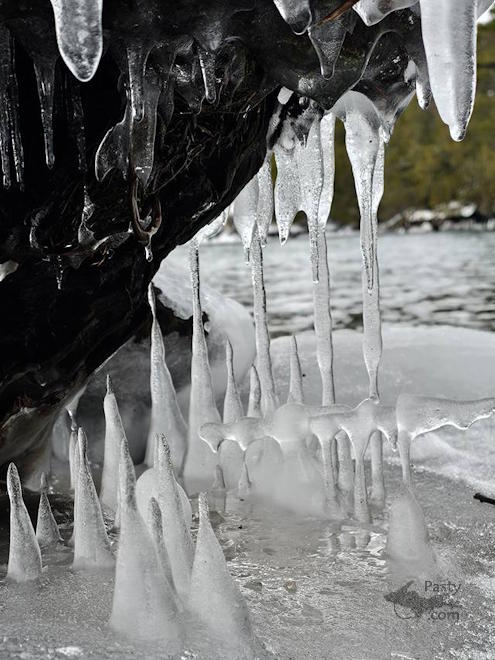 Photo by Stacey Flood