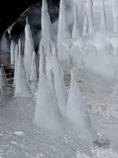 Photo by Stacey Flood